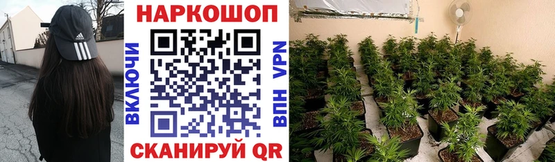 Виды наркотиков купить Сураж Канабис  Cocaine  Амфетамин  ГАШ  СК 