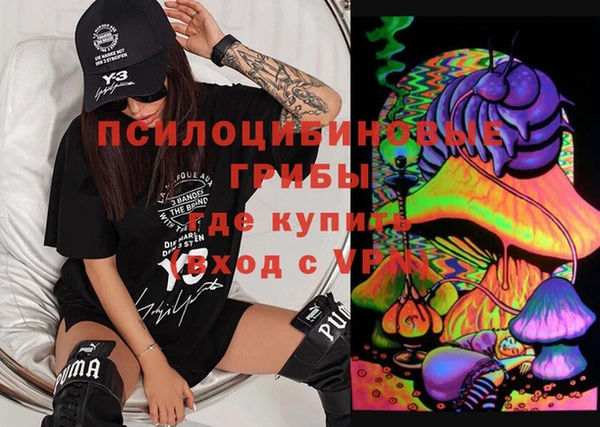 твердый Алексеевка