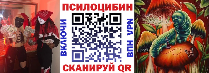 дарнет шоп  Сураж  Псилоцибиновые грибы GOLDEN TEACHER 